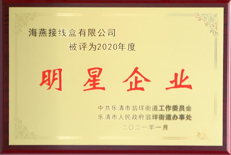 2020年度明星企業(yè)